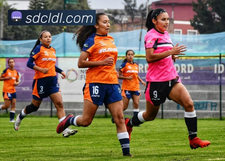 华体会服务体系